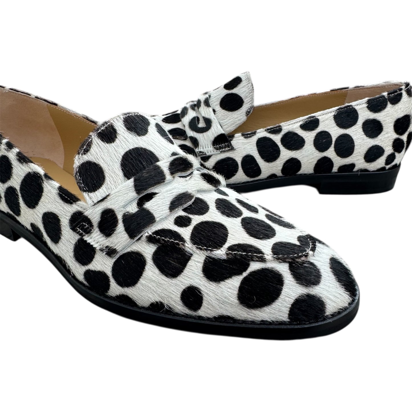 SOFIA in Cavallino pois