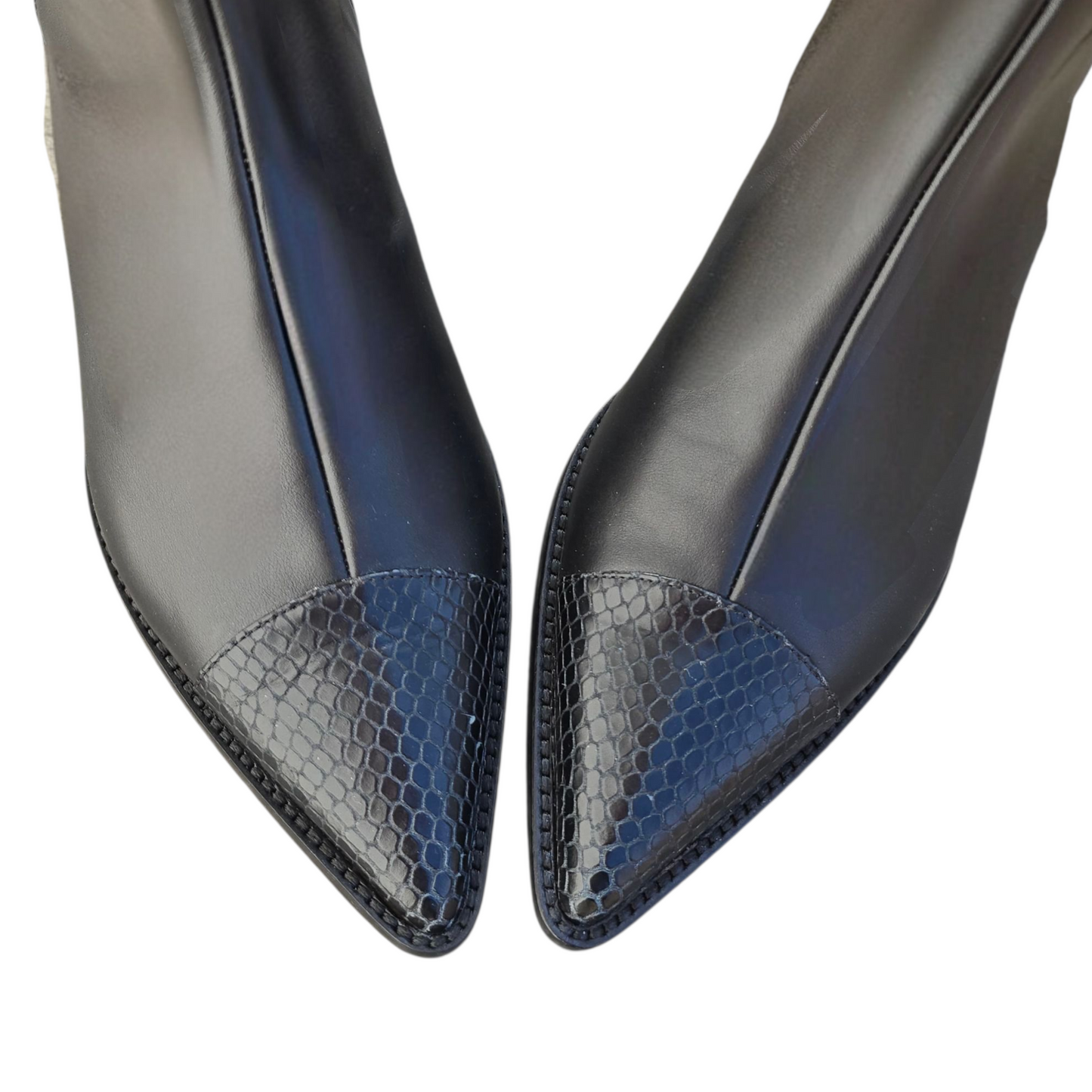 Sibilla in pelle nera e Rettile nero