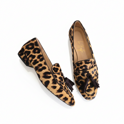 Lavinia in cavallino e testa di moro