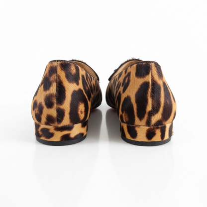 Lavinia in cavallino e testa di moro